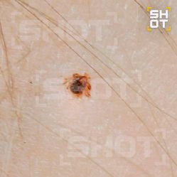 post-22476 thumbnail