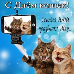 post-28557 thumbnail